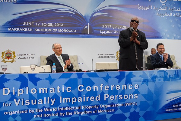 Delegates at the 2013 Marrakesh diplomatic conference for visually impaired persons, organised by WIPO.